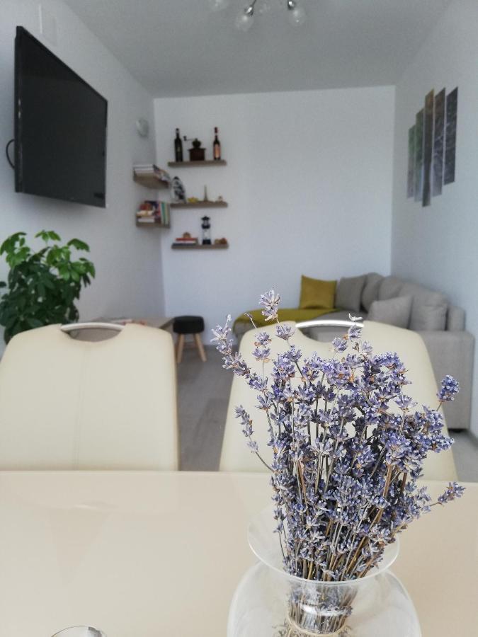 Apartament Raluca Topliţa Esterno foto