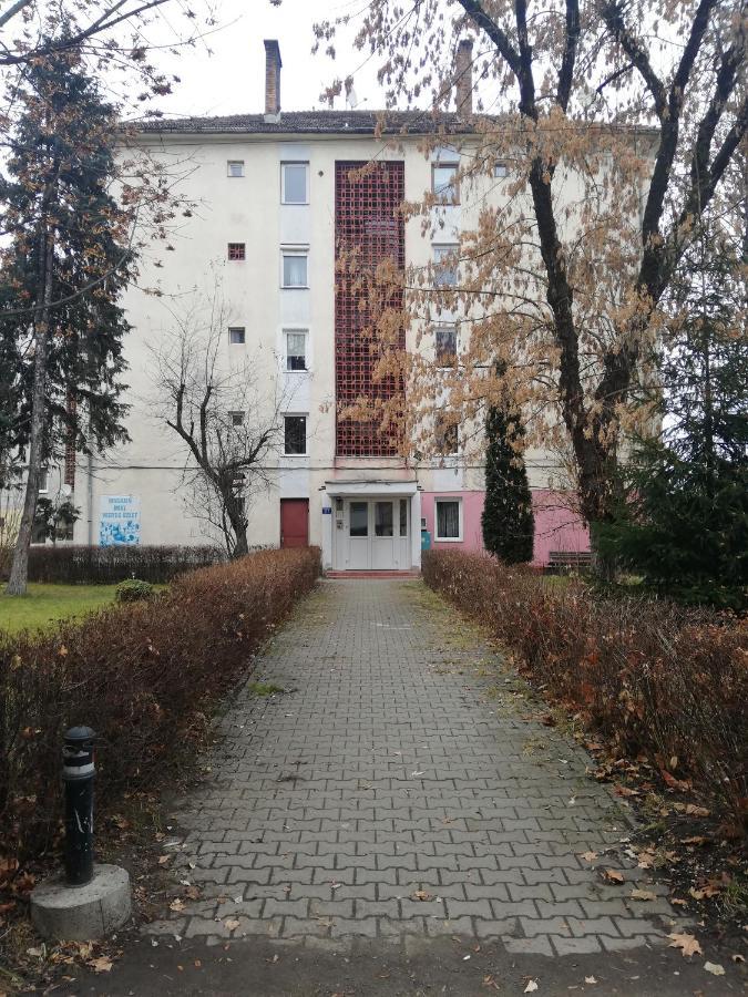Apartament Raluca Topliţa Esterno foto